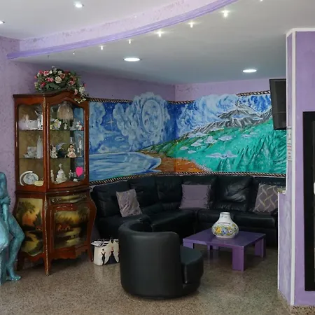 酒店 信天翁酒店 3*