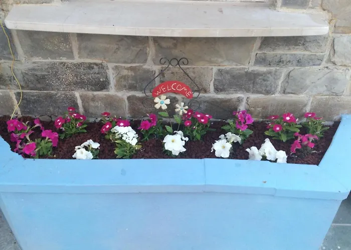 Hotel Albatros Roseto Degli Abruzzi